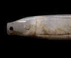 Oud-Chinees - Hanger van jade - Vis - Shang-dynastie