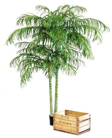 Kunstplant Areca Palmboom Deluxe 210 cm, Verzenden