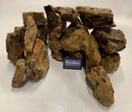 Petrified stone 10-20cm aquarium decoratie stenen, Ophalen of Verzenden, Nieuw, Plant(en), Steen of Hout