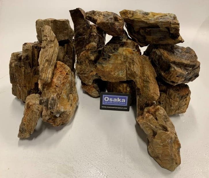 Petrified stone 10-20cm aquarium decoratie stenen, Dieren en Toebehoren, Vissen | Aquaria en Toebehoren, Plant(en), Steen of Hout
