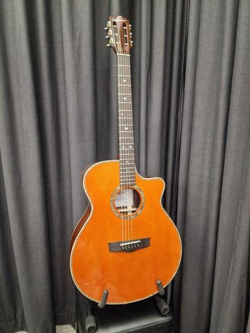 Homestead Guitars - Grand Auditorium with Venetian Cutaway -, Nieuw
