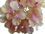 Hortensia hydrangea 6 oranje roze zijden bloemkop los 15×10