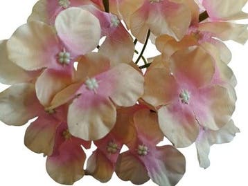 Hortensia hydrangea 6 oranje roze zijden bloemkop los 15×10, Nieuw