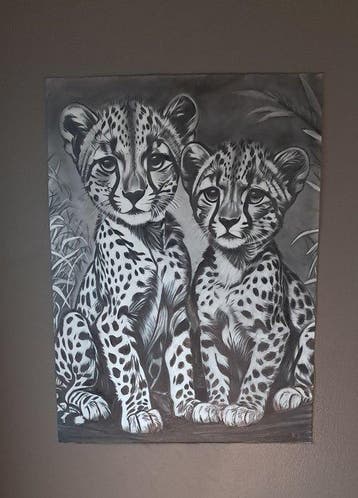 Hannes Joeri - Brothers in the Wild - Cheetah Cubs