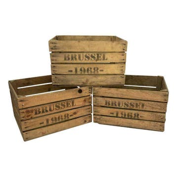 Fruitkisten  Brussel  1968, Minder dan 50 cm, Gebruikt, 50 tot 100 cm, Verzenden