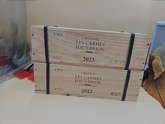 2023 Carmes Haut-Brion - Pessac-Léognan - 2 Flessen (0.75, Verzamelen, Wijnen