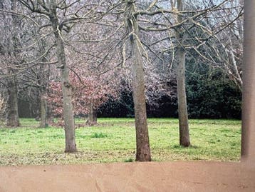 Abbas Gharib - Trees (Alberi), Antiek en Kunst