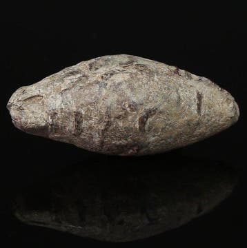 Oud-Romeins Lood Slingskogel met inscriptie COS / L PISO L