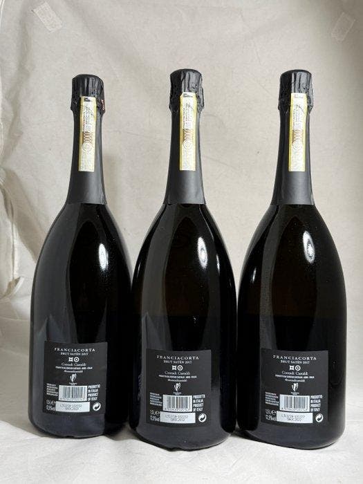 2017 Contadi Castaldi - Franciacorta Brut Satèn - 3 Magnums, Verzamelen, Wijnen