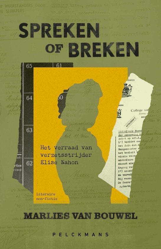 Spreken of breken 9789463834766 Marlies van Bouwel, Livres, Politique & Société, Envoi
