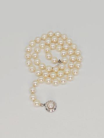 Sans prix de réserve - Collier - 14 carats Or blanc - Perles, Nieuw