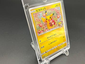 Pokémon - 1 Card - Pikachu 224/SM-P Promo card, Foil