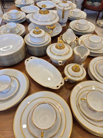 Hutschenreuther Selb - Tafelservies voor 12 (106) -