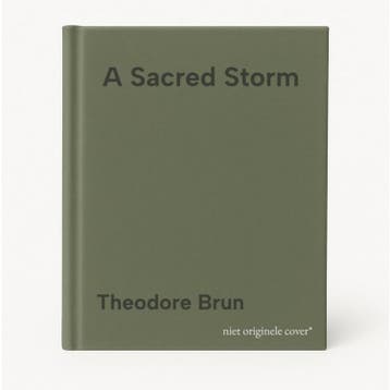 A Sacred Storm 9781786490025 Theodore Brun, Boeken, Verzenden, Gelezen, Theodore Brun