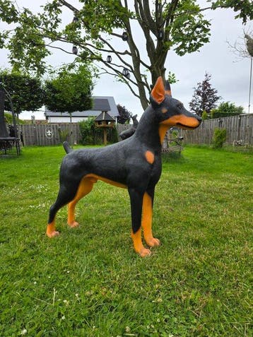 Beeld, XL Doberman Dog - 111 cm - mgo - 2026
