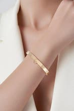 Hermès - Armband - 18 karaat HERMES Collier de Chien 18K, Nieuw