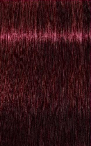Schwarzkopf Professional Igora Royal Absolutes 60ml, Verzenden, Overige typen