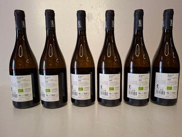 2022 Tenuta valle delle Ferle, Murgentia - Sicile - 6, Nieuw