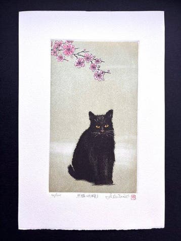 Black Cat 15 Cherry Blossom Kuroneko Sakura  15  -