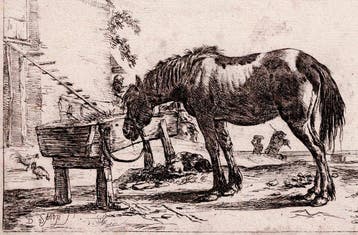 Dirk Stoop (1610-1686) - Paard bij een drinkbak