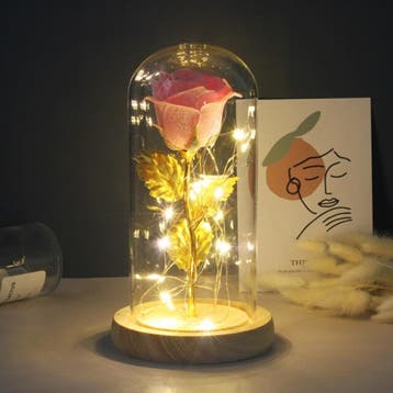 Kunst Roos in Glazen Stolp met Verlichting - Zijden Rozen, Verzenden, Nieuw