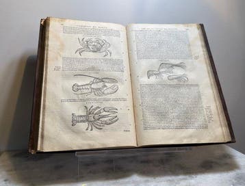 Pietro Andrea Mattioli - Commentaires De M. Pierre André
