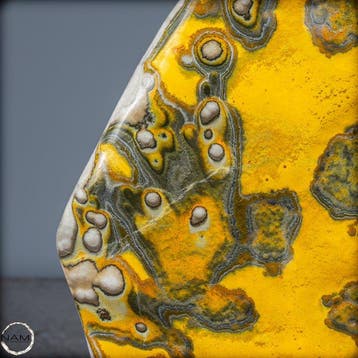 Zeer zeldzame natuurlijke Bumblebee Jasper Freeform op