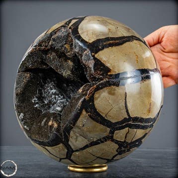 Septarische bol met calcietkristallen – Fascinerende geode, Verzamelen