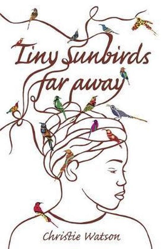 Tiny Sunbirds Far Away 9781849163750 Christie Watson, Boeken, Taal | Engels, Gelezen, Verzenden