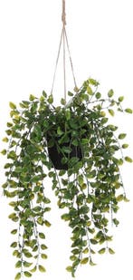 2dekans | Mica Decorations Ficus Kunst Hangplant in Pot -, Ophalen of Verzenden, Nieuw