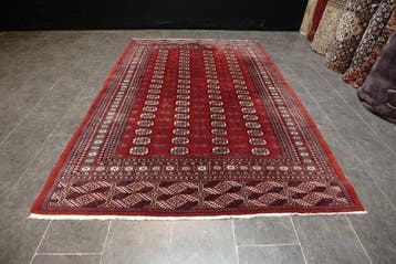 Buchara art deco - Tapijt - 275 cm - 195 cm