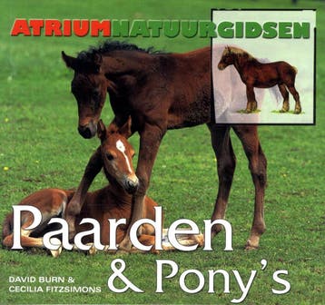 Paarden & PonyS 9789059473287 D. Burn, Verzenden, D. Burn