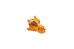 uniek stuk - exclusief stuk  GEM  Taxidermie wandmontage -