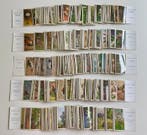 Collection de souvenirs - Pour lalbum Verkade : Automne,