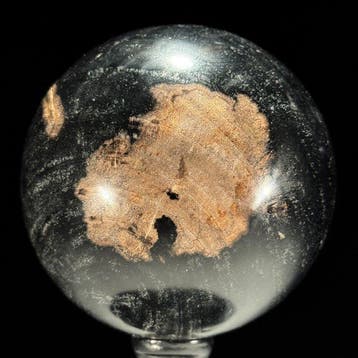 Prachtig paar versteend hout - Gefossiliseerd hout - Spheres
