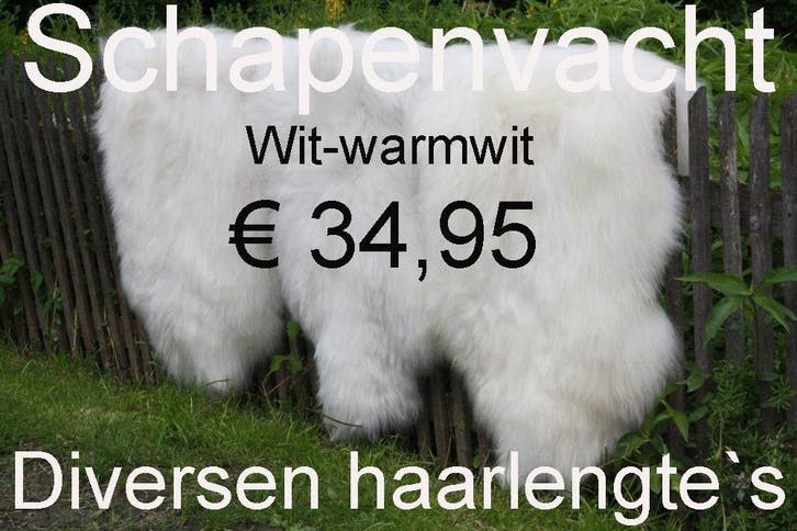 Schapenvacht WIT schapenhuid schapenvel € 34,95 NIEUW, Maison & Meubles, Accessoires pour la Maison | Autre, Envoi