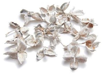 Cotton Pau terra Estrela Katoenster Frosted White 500 gram, Nieuw