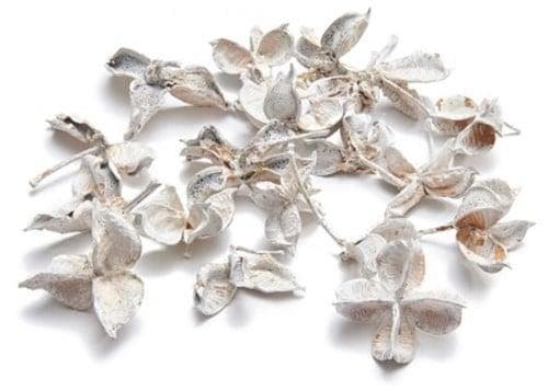 Cotton Pau terra Estrela Katoenster Frosted White 500 gram, Huis en Inrichting, Woonaccessoires | Kunstplanten en Kunstbloemen