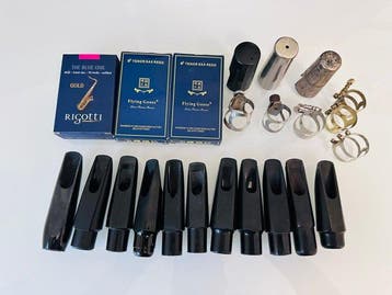 Selmer, Rico Royal, Weltkland, Others - Tenorsaxofoon