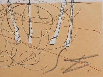 Salvador Dali (1904-1989) - Désert fabuleux : Cavalier