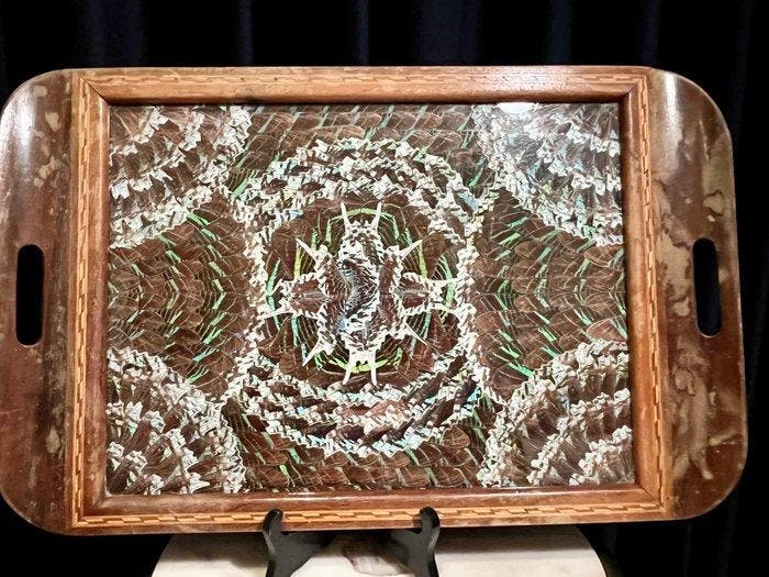 Decoratief dienblad - Zitrin-Rio - Brazilië - Art Deco, Verzamelen, Dierenverzamelingen