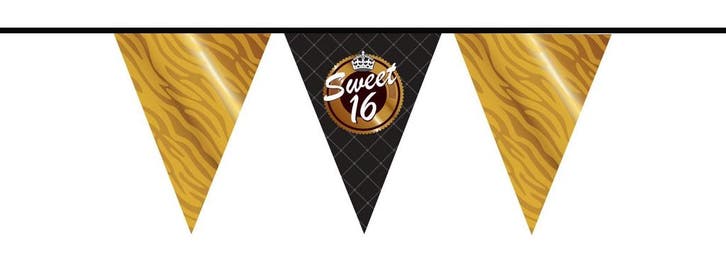 Slinger Sweet 16 10m, Hobby en Vrije tijd, Feestartikelen, Nieuw, Verzenden