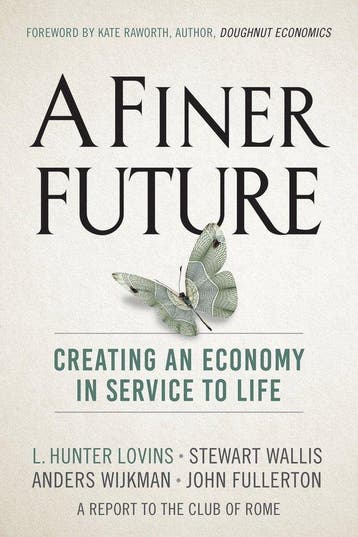 A Finer Future 9780865718982 L. Hunter Lovins, Verzenden, L. Hunter Lovins