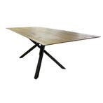 bert plantagie Eettafel Maas 2.0 - Ongebruikt, Huis en Inrichting, Tafels | Eettafels, Verzenden, Zo goed als nieuw, Metaal, 200 cm of meer
