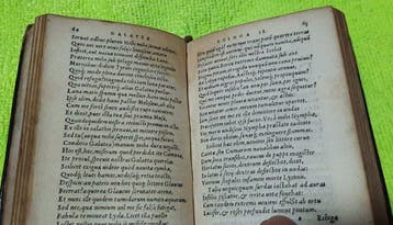 Iacobus Sannazarius - Iacobi Sannazarii Opera Omnia - 1558