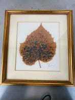 Collectie merkartikelen - 10x houten lijst met vintage, Antiek en Kunst