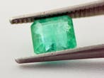 Zonder minimumprijs Blauw, Groen Smaragd - 0.86 ct - Gem, Nieuw