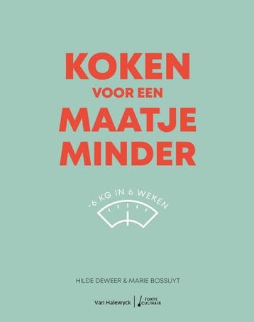 Koken voor een maatje minder / Forte Culinair 9789461319746, Verzenden, Hilde Deweer