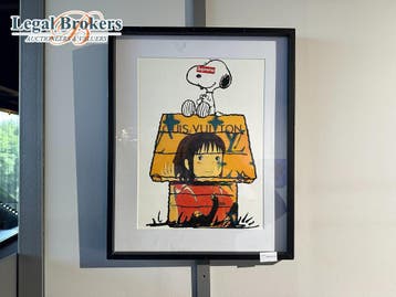 Death NYC Snoopy VS LV, Ophalen of Verzenden, Zo goed als nieuw, Overige typen