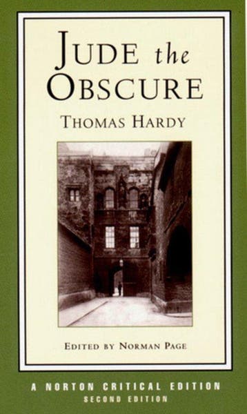 Jude the Obscure 9780393972788 Thomas Hardy, Verzenden, Thomas Hardy
